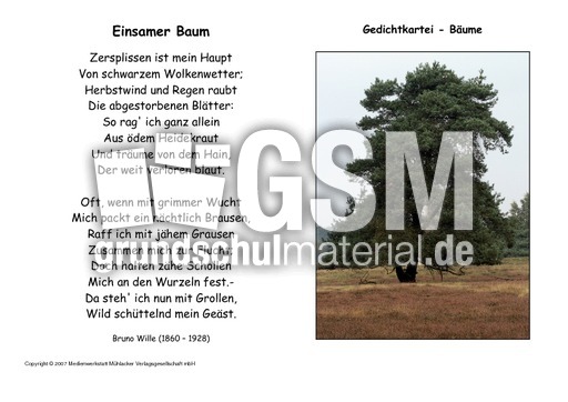 Einsamer-Baum-Wille.pdf